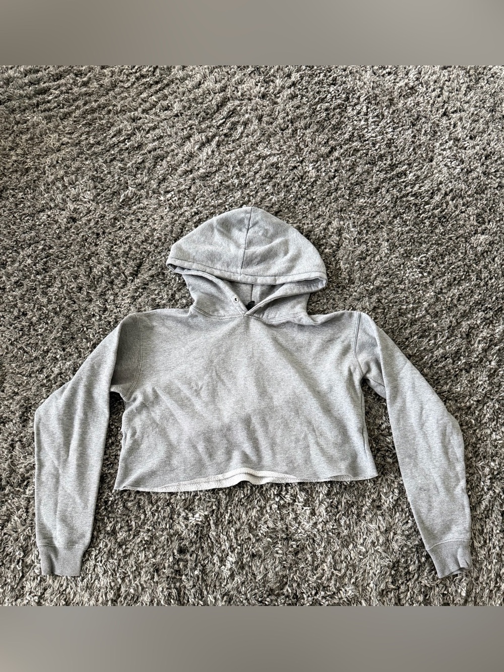 Wild Fable Gray Cropped Hoodie Sweatshirt XS